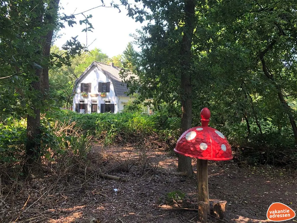 Vakantieadressen accommodatie afbeelding