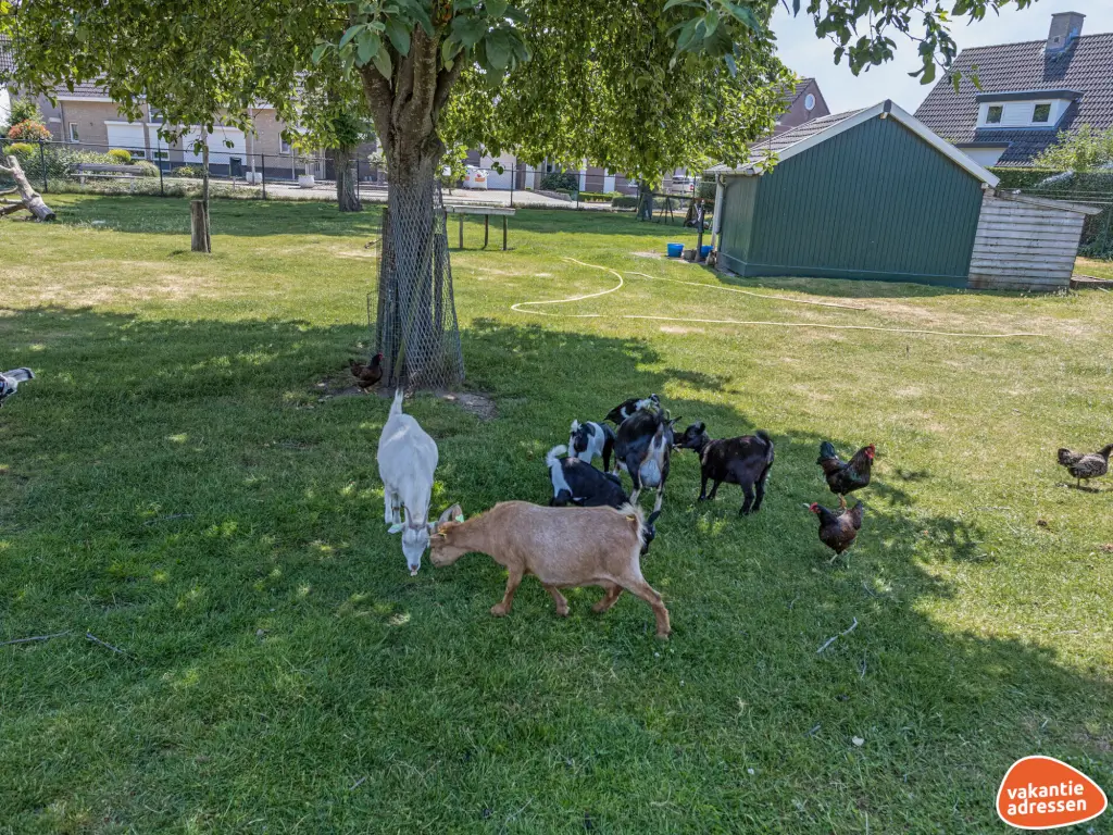 Vakantieadressen accommodatie afbeelding