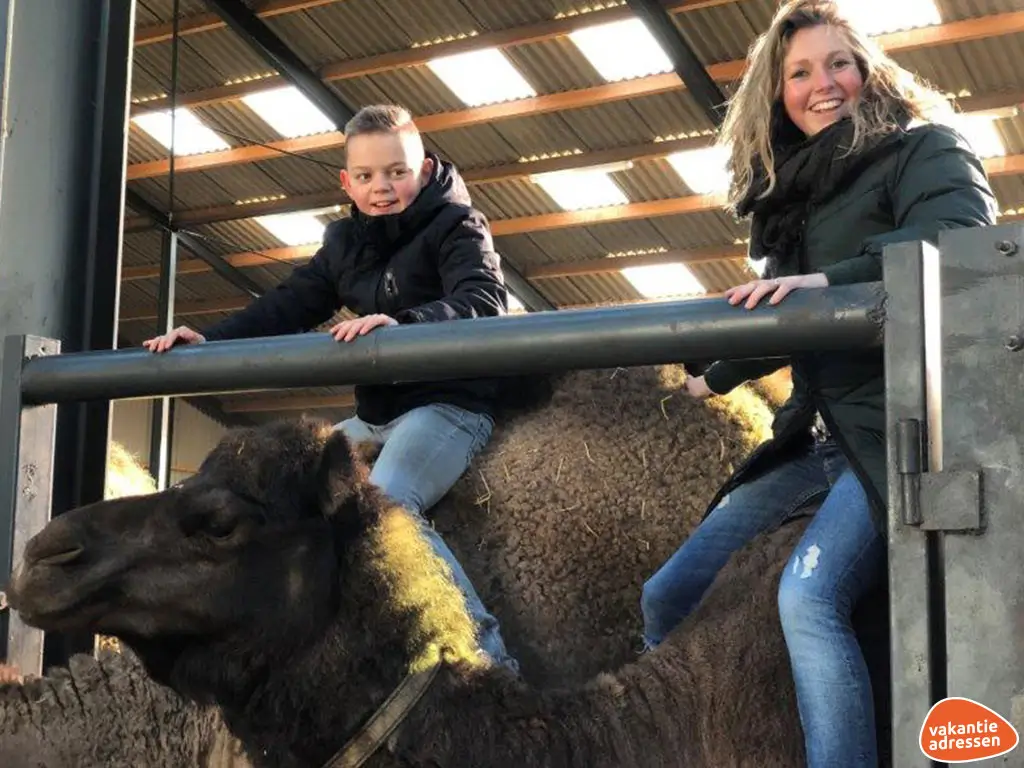 Vakantieadressen accommodatie afbeelding