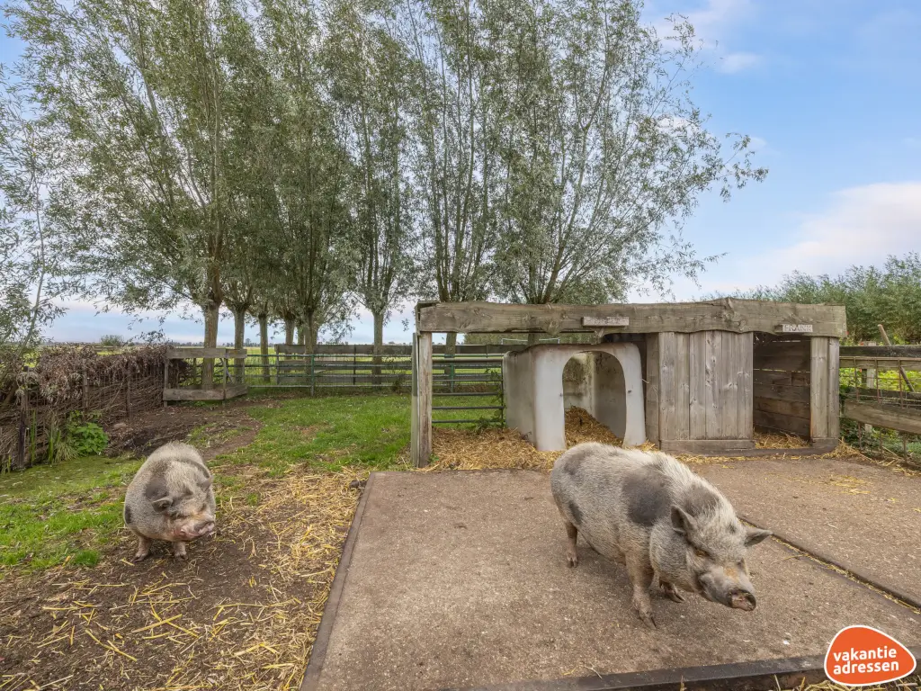 Vakantieadressen accommodatie afbeelding