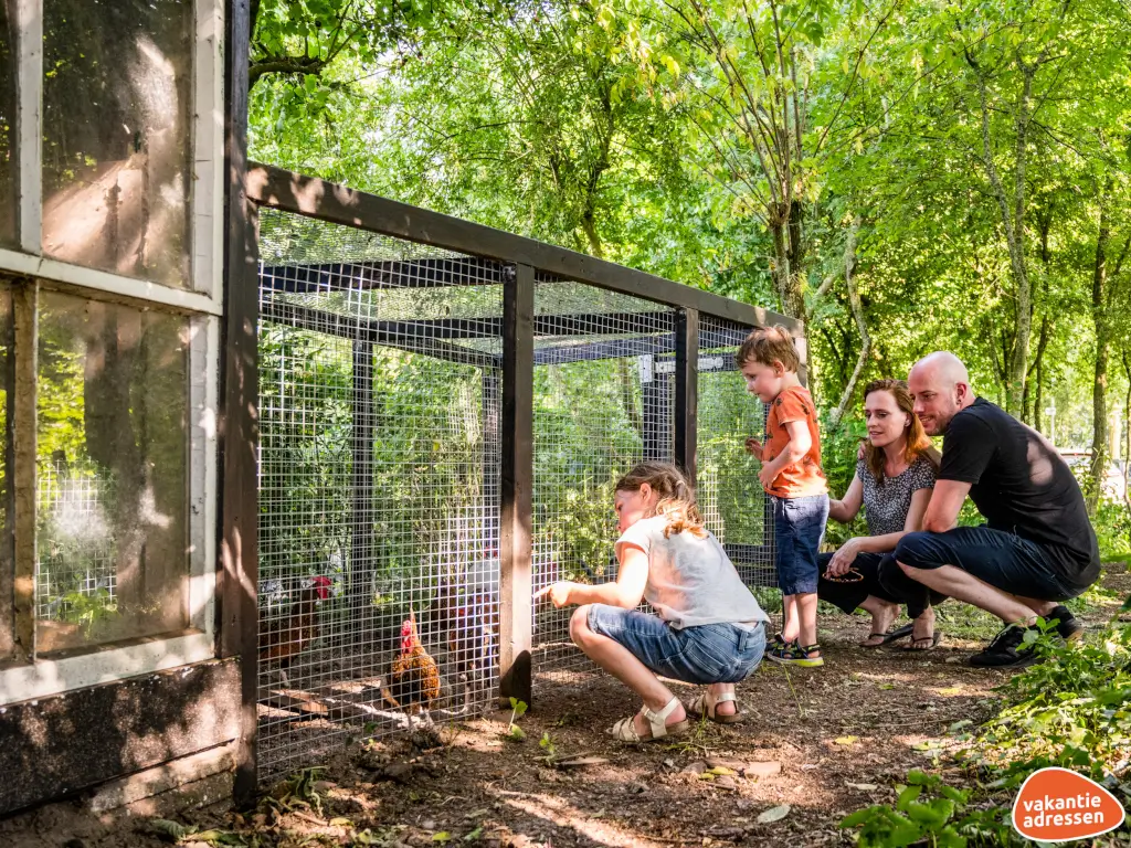 Vakantieadressen accommodatie afbeelding