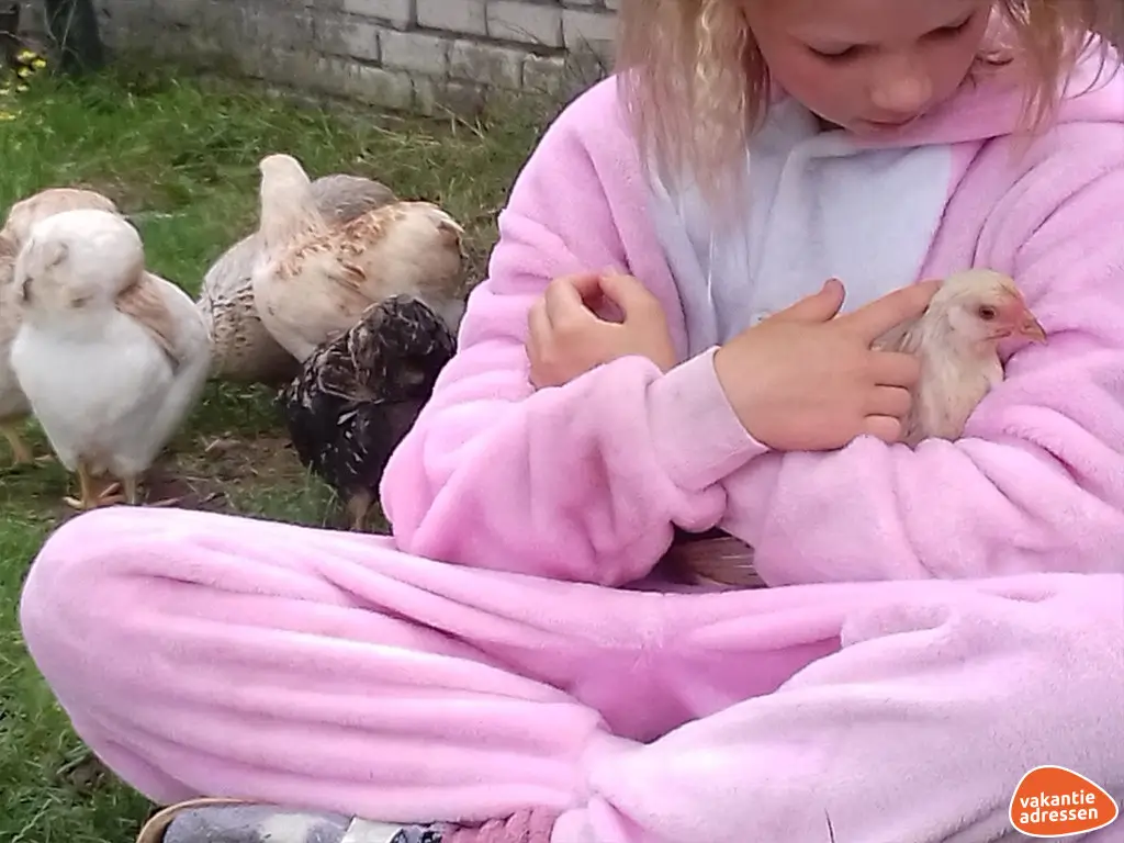 Vakantieadressen accommodatie afbeelding