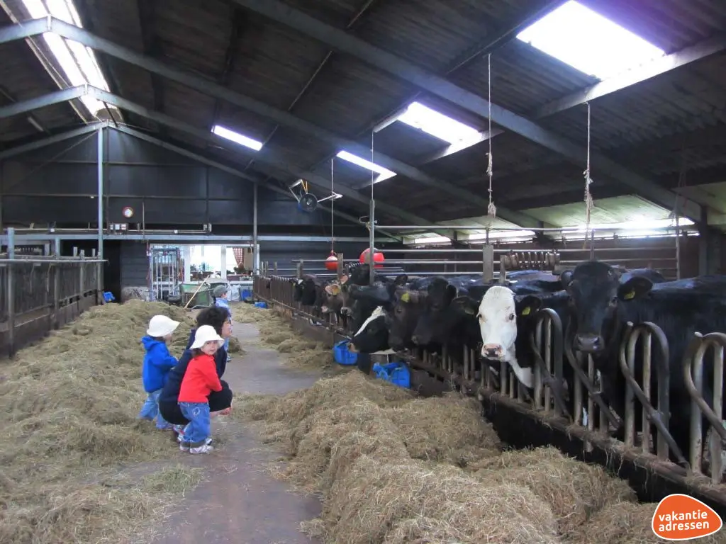 Vakantieadressen accommodatie afbeelding