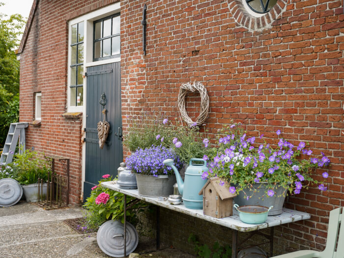 Vakantiehuis in Engwierum (Friesland) voor 16 personen met 7 slaapkamers.