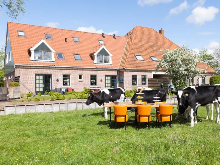 Vakantiehuis in Oudesluis (Noord-Holland) voor 30 personen met 11 slaapkamers.