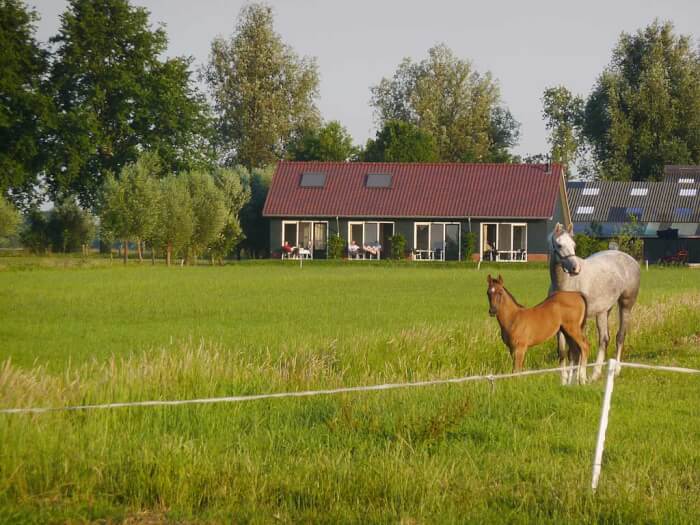 Vakantiehuis in Goudriaan (Zuid-Holland) voor 16 personen met 5 slaapkamers.
