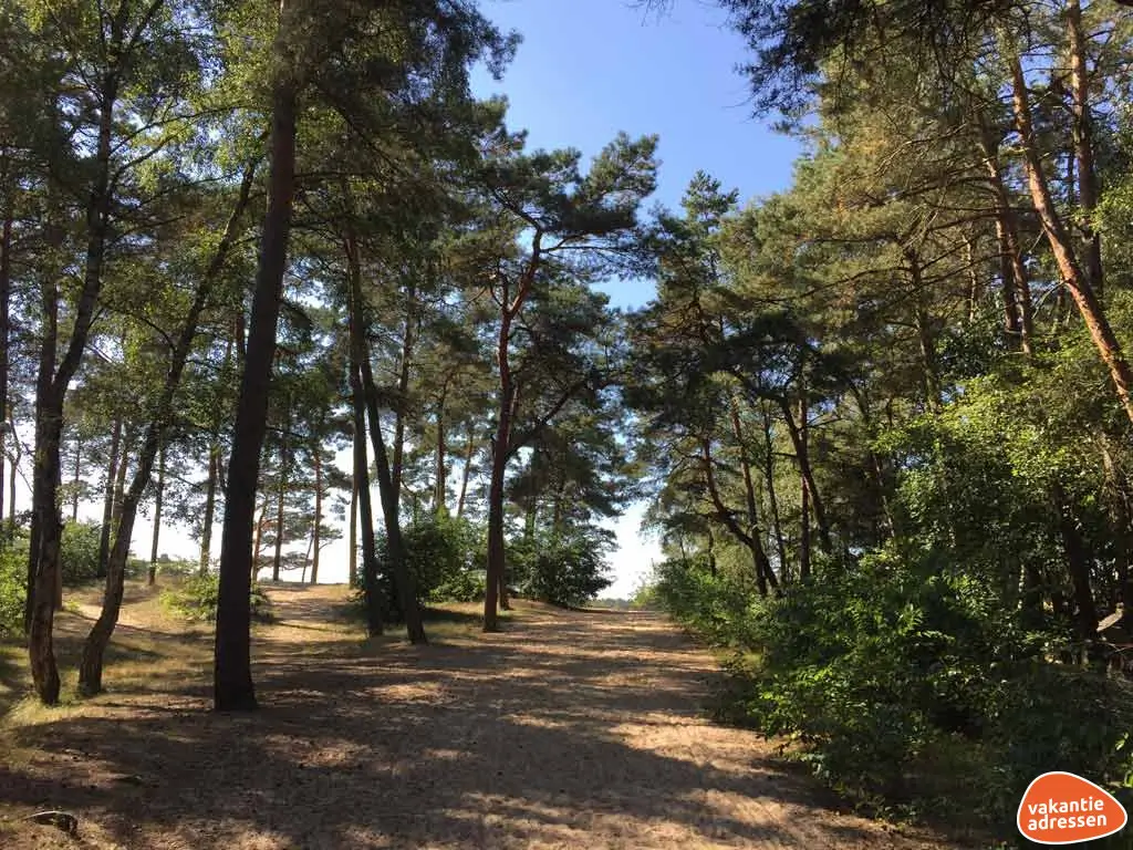 Vakantieadressen accommodatie afbeelding