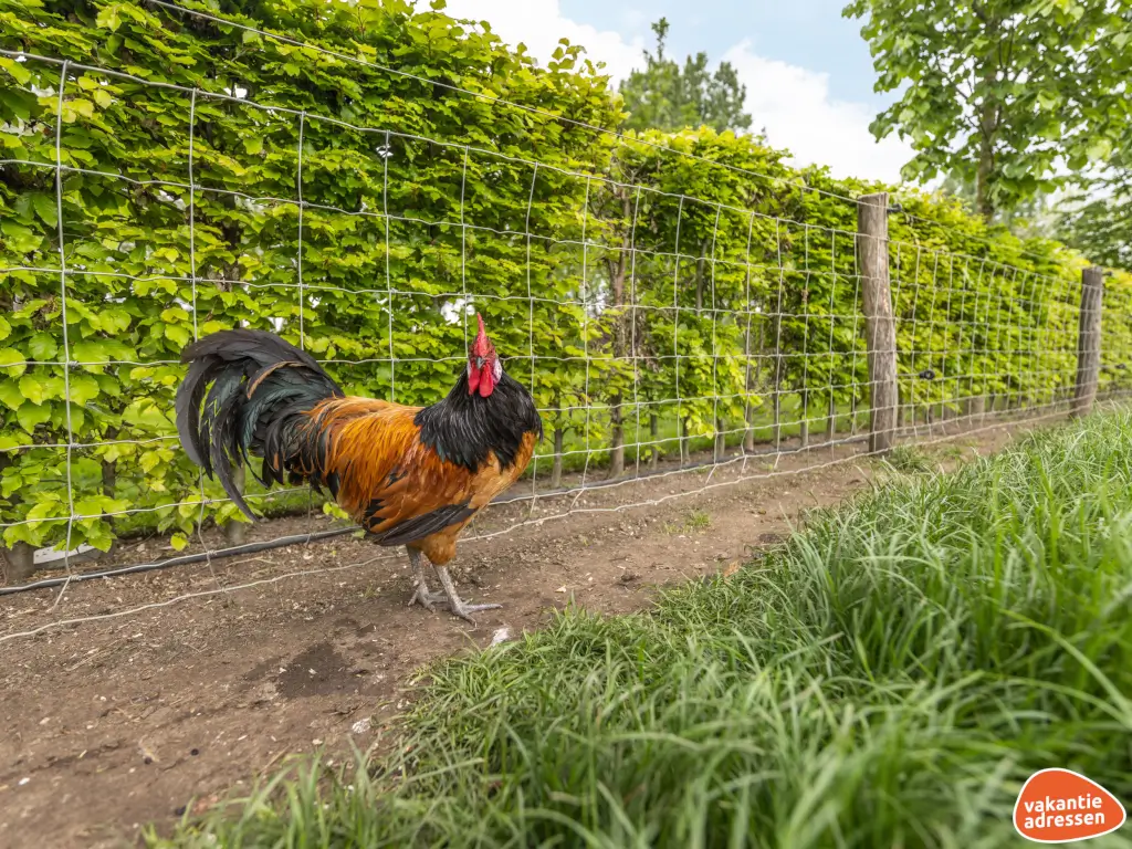 Vakantieadressen accommodatie afbeelding