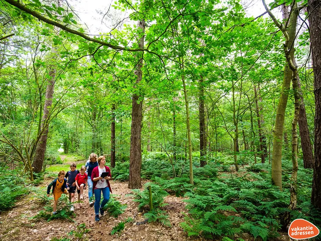 Vakantieadressen accommodatie afbeelding