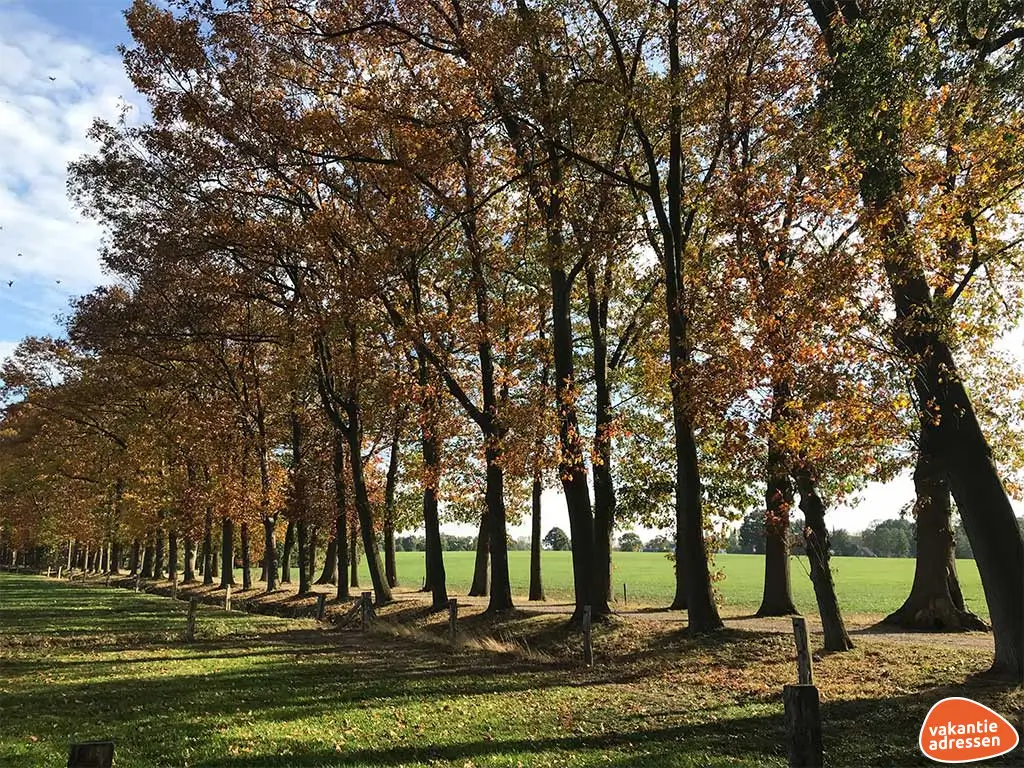 Vakantieadressen accommodatie afbeelding