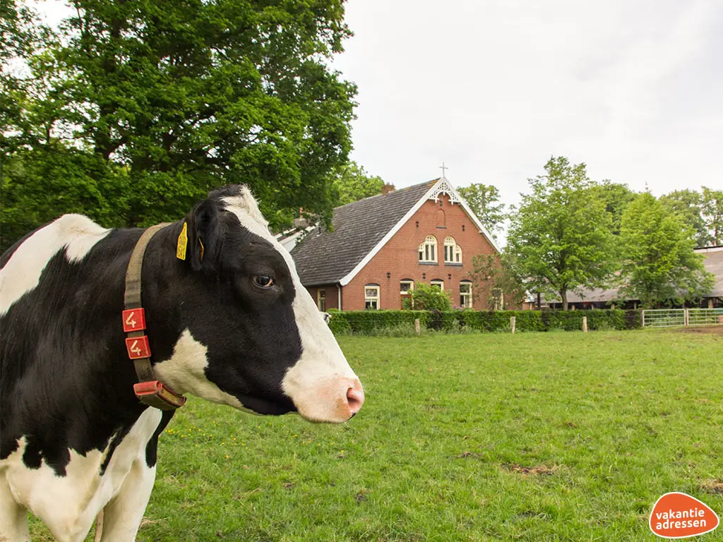 Vakantieadressen accommodatie afbeelding