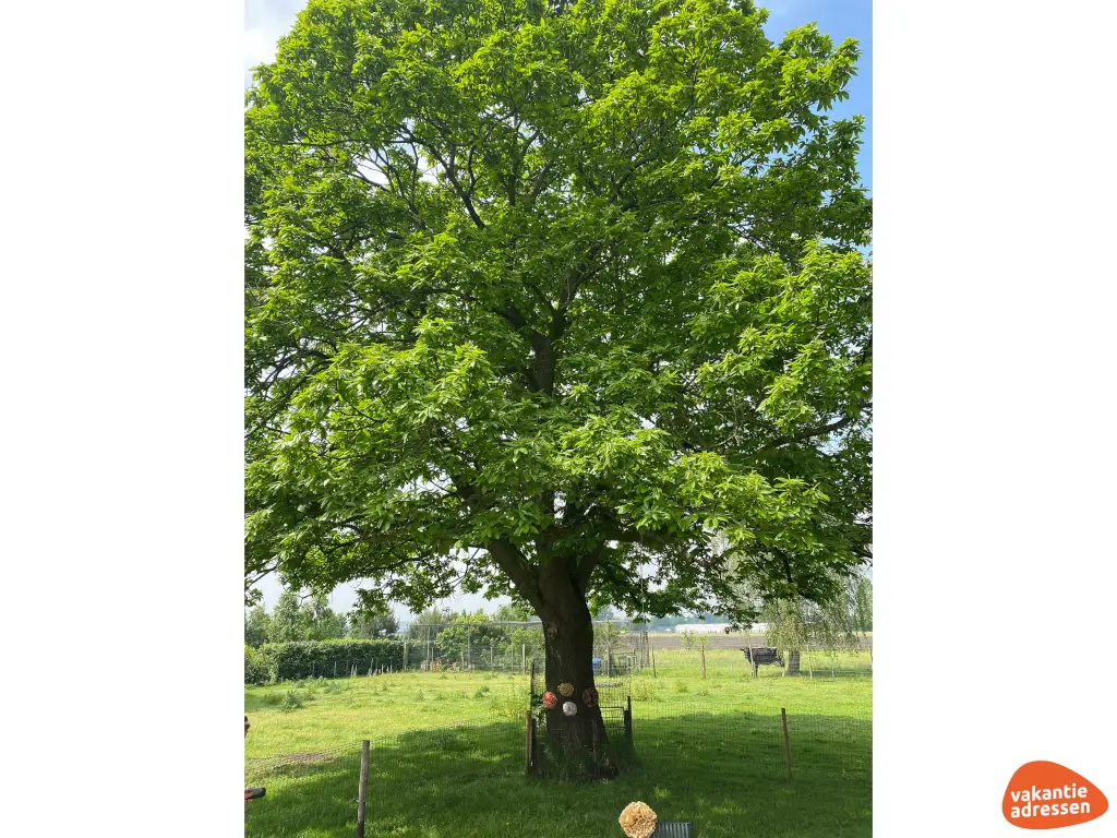 Vakantieadressen accommodatie afbeelding