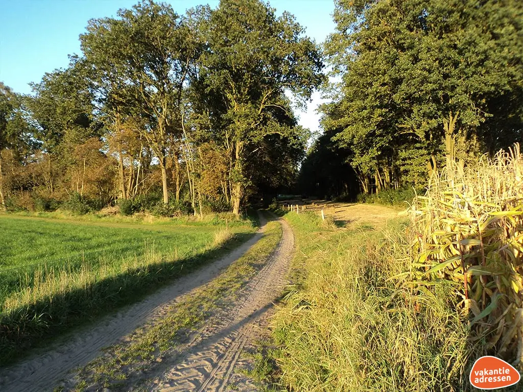 Vakantieadressen accommodatie afbeelding