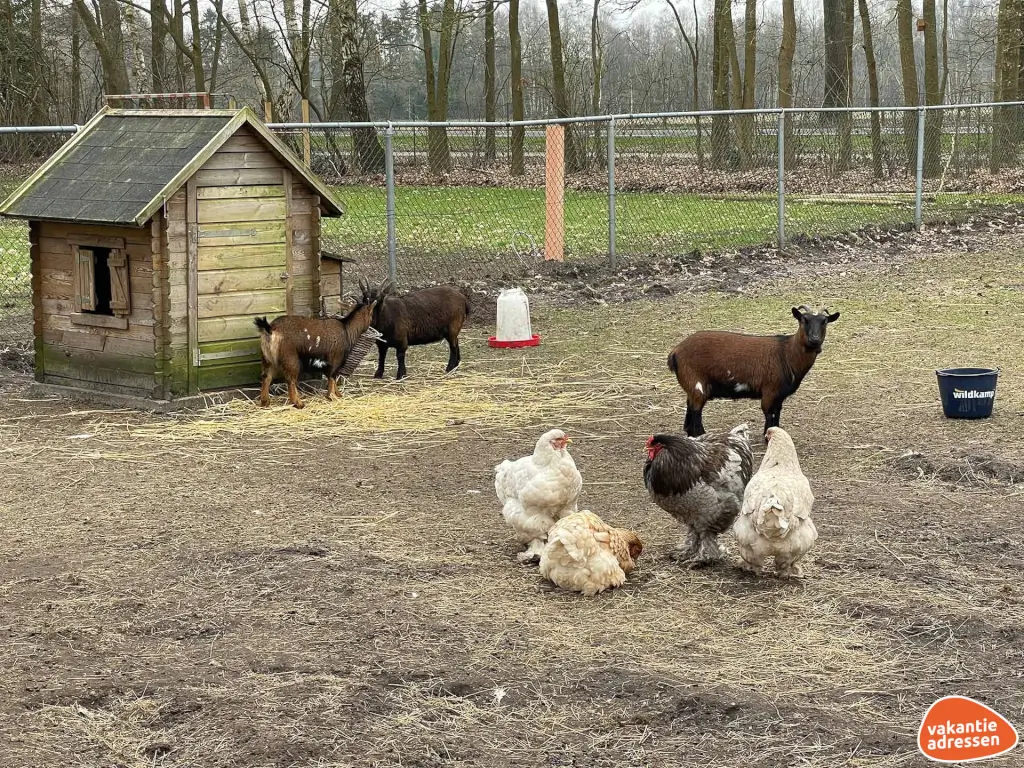 Vakantieadressen accommodatie afbeelding