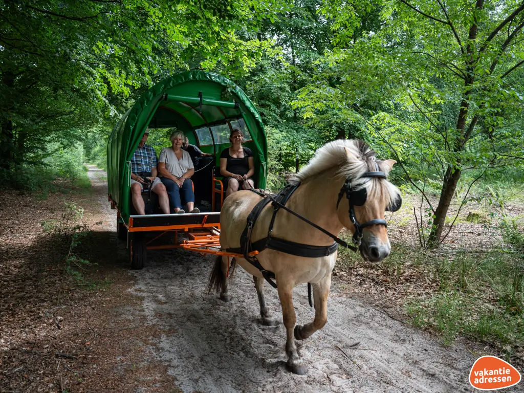 Vakantieadressen accommodatie afbeelding