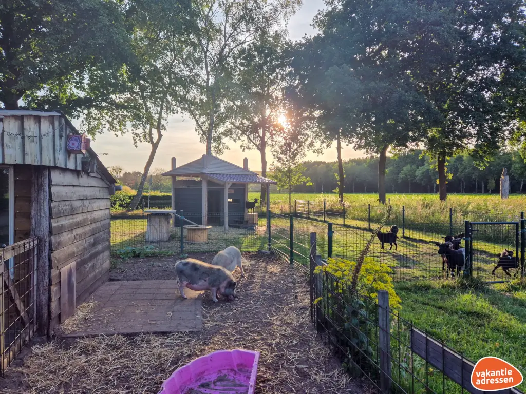 Vakantieadressen accommodatie afbeelding