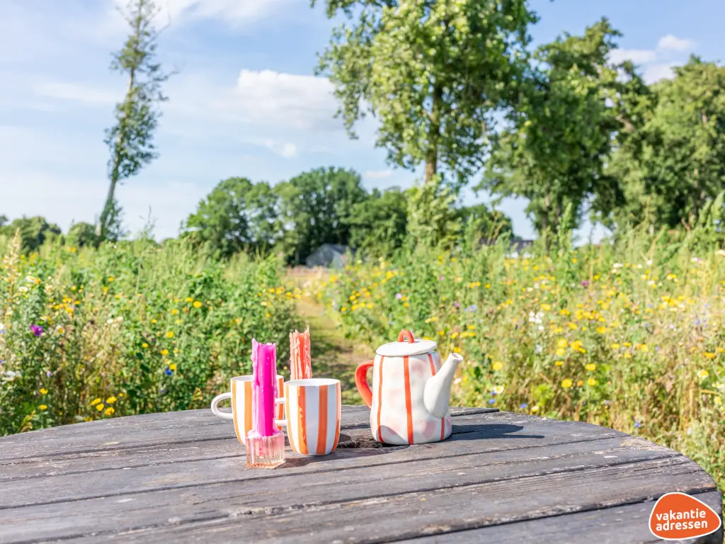 Vakantieadressen accommodatie afbeelding