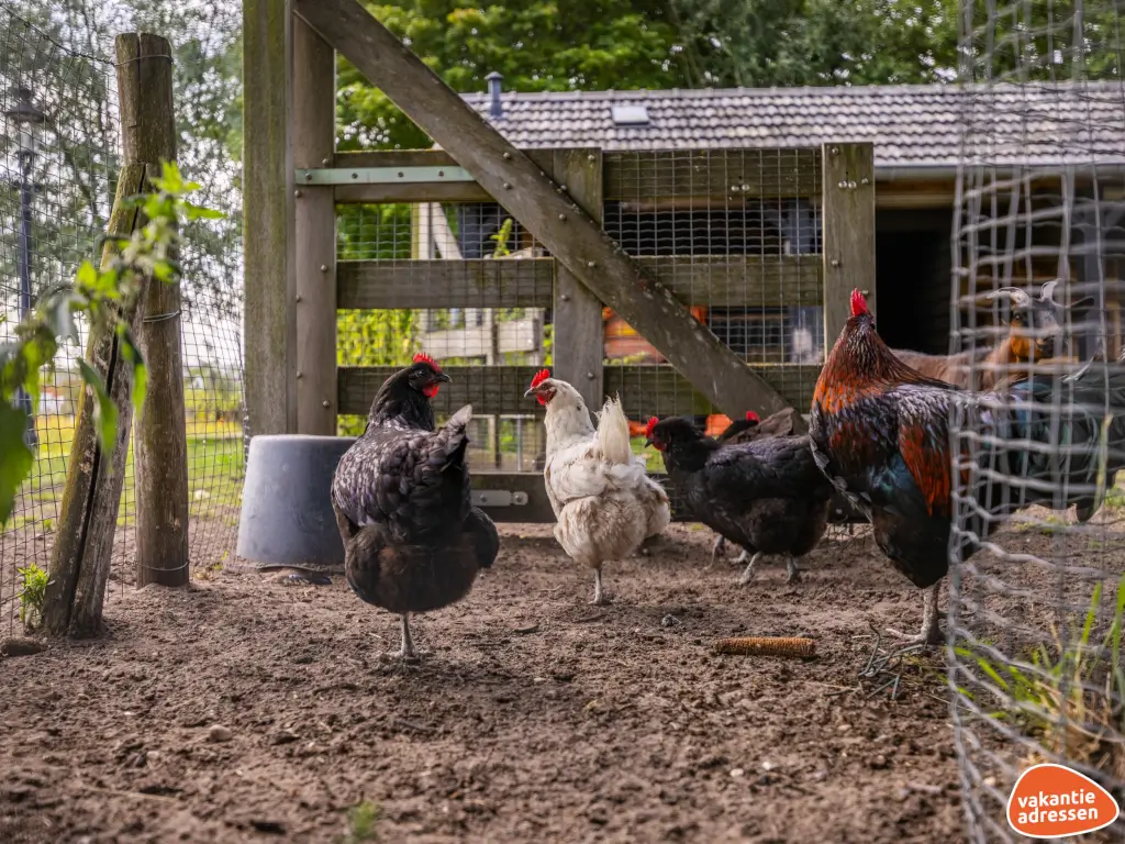 Vakantieadressen accommodatie afbeelding