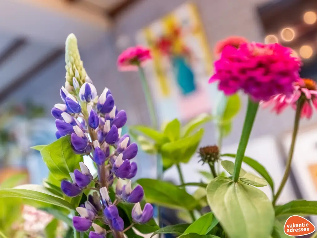 Vakantieadressen accommodatie afbeelding