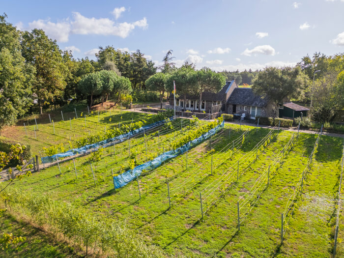 Vakantiehuis in Maasbree (Limburg) voor 15 personen met 8 slaapkamers.