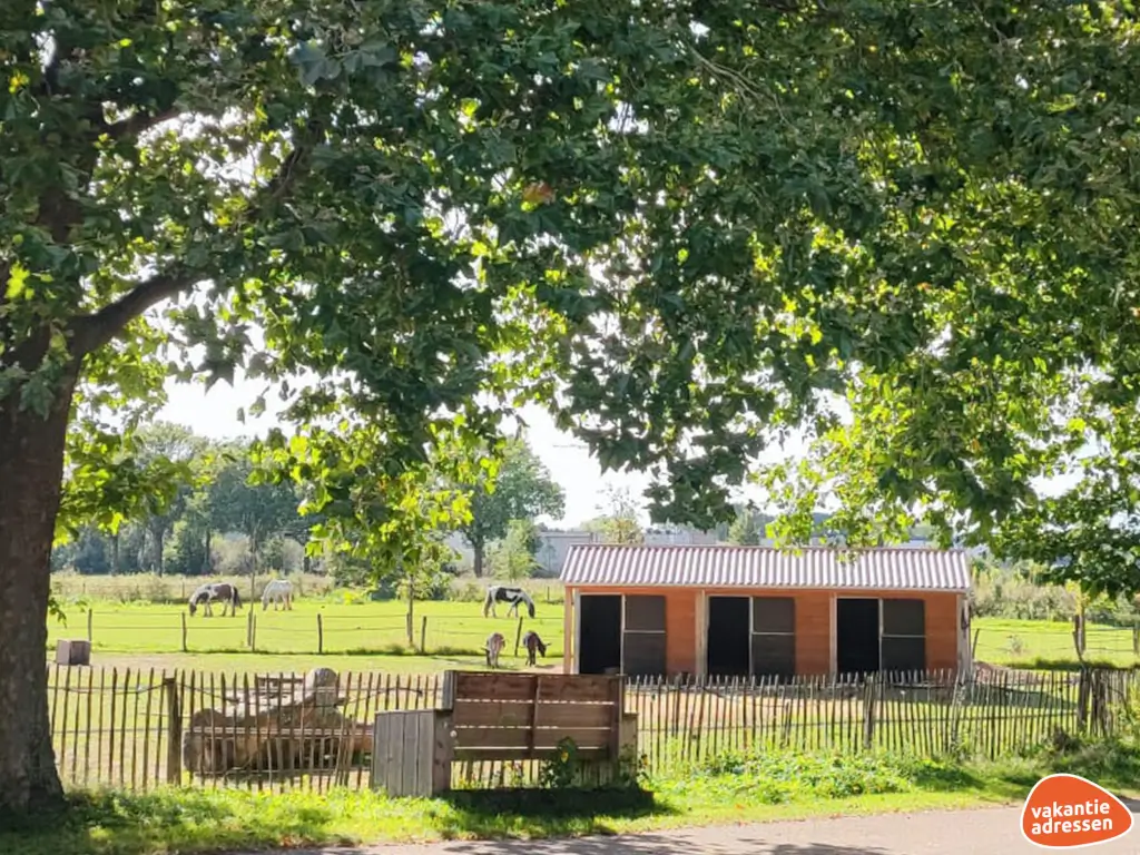 Vakantieadressen accommodatie afbeelding