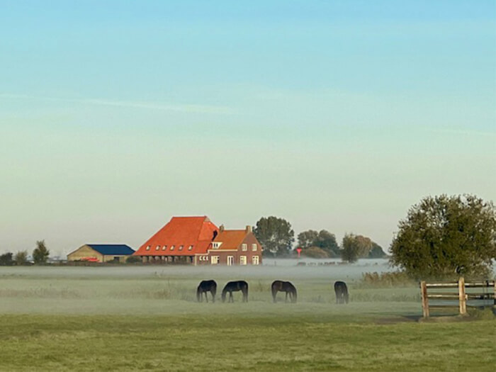 Vakantiehuis in Sloten (Friesland) voor 10 personen met 4 slaapkamers.