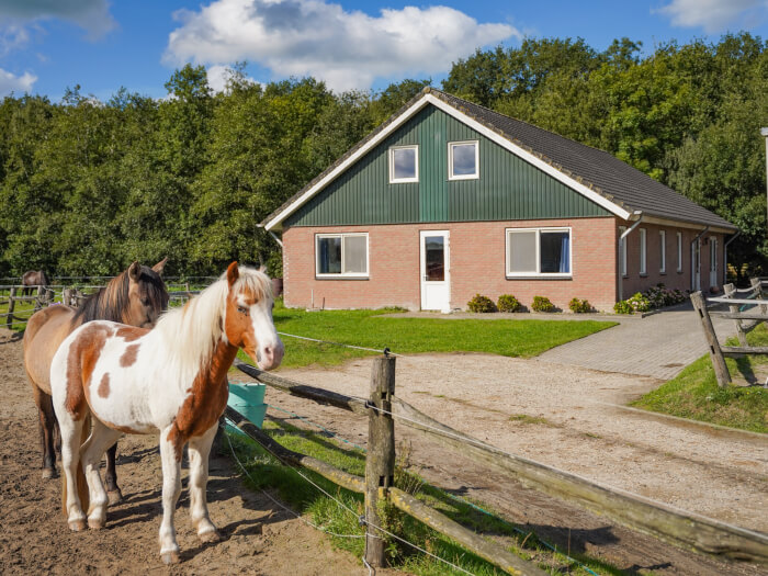 Vakantiehuis in Noardburgum (Friesland) voor 15 personen met 5 slaapkamers.