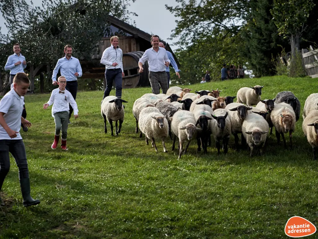 Vakantieadressen accommodatie afbeelding
