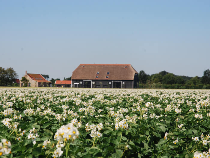 Vakantiehuis in Oostkapelle (Zeeland) voor 30 personen met 14 slaapkamers.