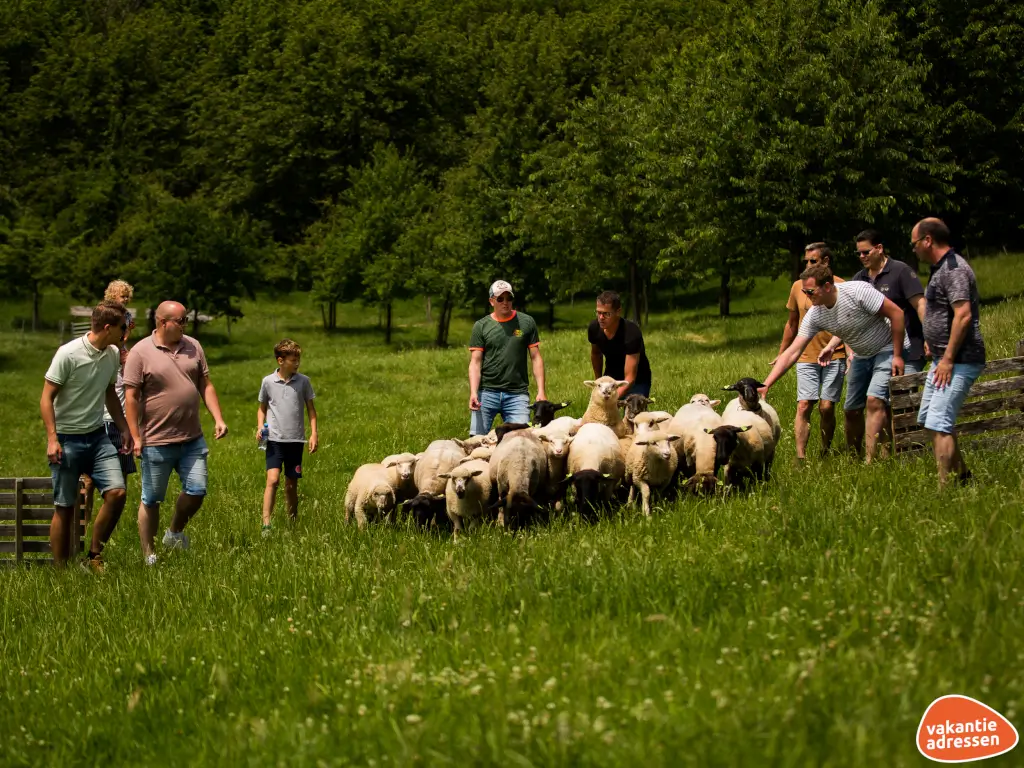 Vakantieadressen accommodatie afbeelding