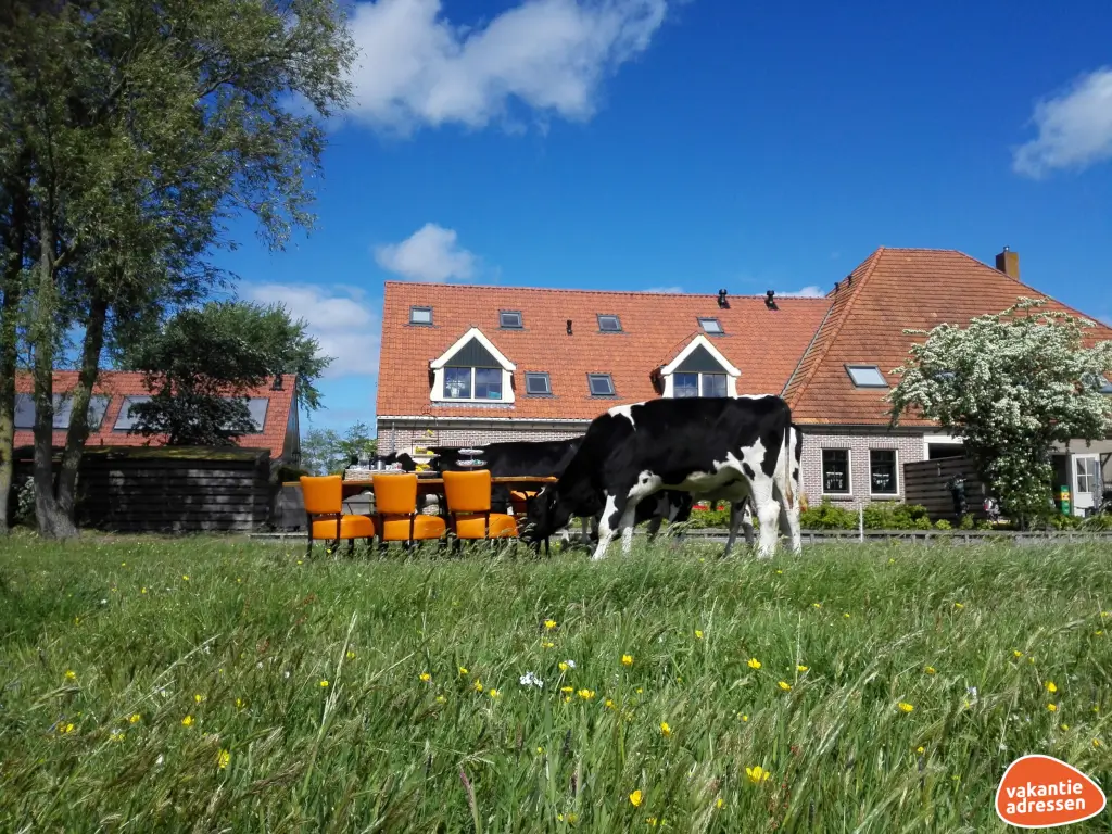 Vakantieadressen accommodatie afbeelding