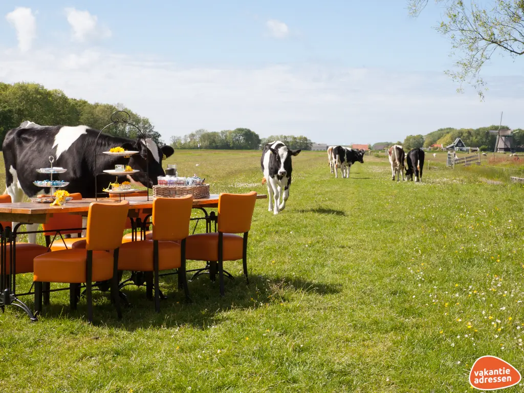 Vakantieadressen accommodatie afbeelding