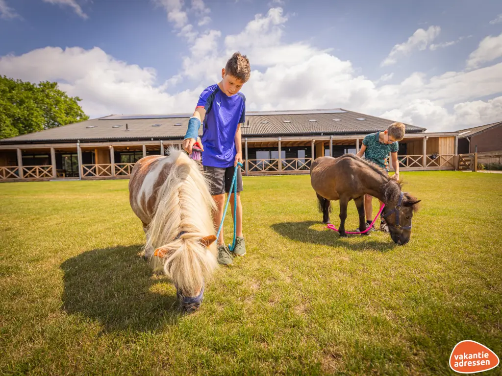 Vakantieadressen accommodatie afbeelding