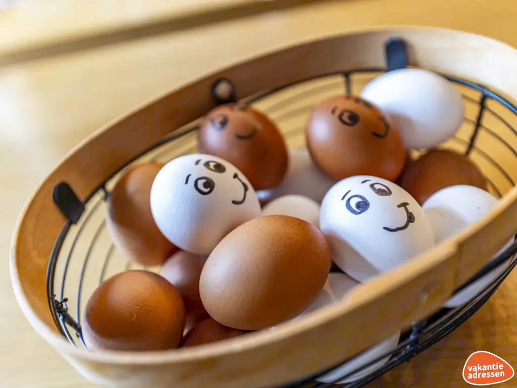 Vakantieadressen accommodatie afbeelding