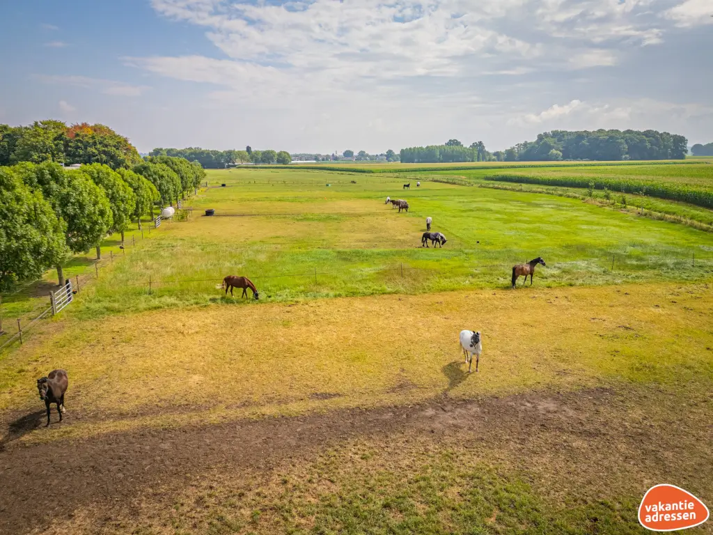 Vakantieadressen accommodatie afbeelding